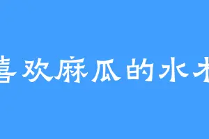 喜欢麻瓜的水木