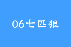 06七匹狼
