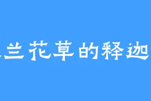 喜欢兰花草的释迦牟尼