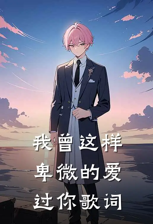 我曾这样卑微的爱过你歌词