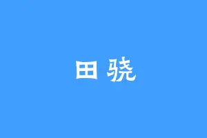 田骁