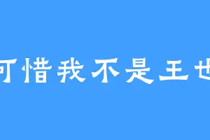可惜我不是王也