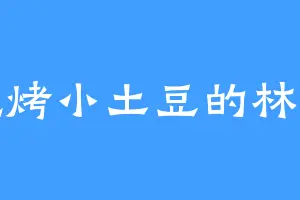 爱吃烤小土豆的林阳神