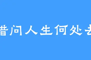 借问人生何处去