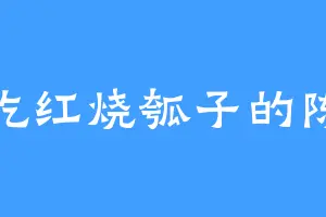 爱吃红烧瓠子的陈临