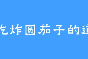 爱吃炸圆茄子的道清