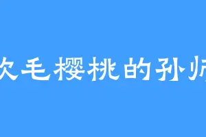 喜欢毛樱桃的孙师傅